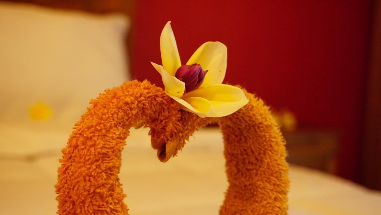 Nyuh Gading Accommodation Ubud Buitenkant foto